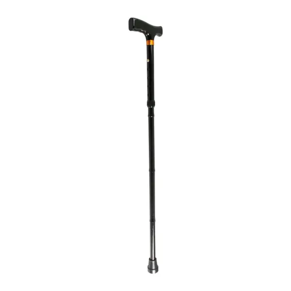 Walking Sticks