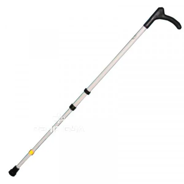 Walking Sticks, image 2